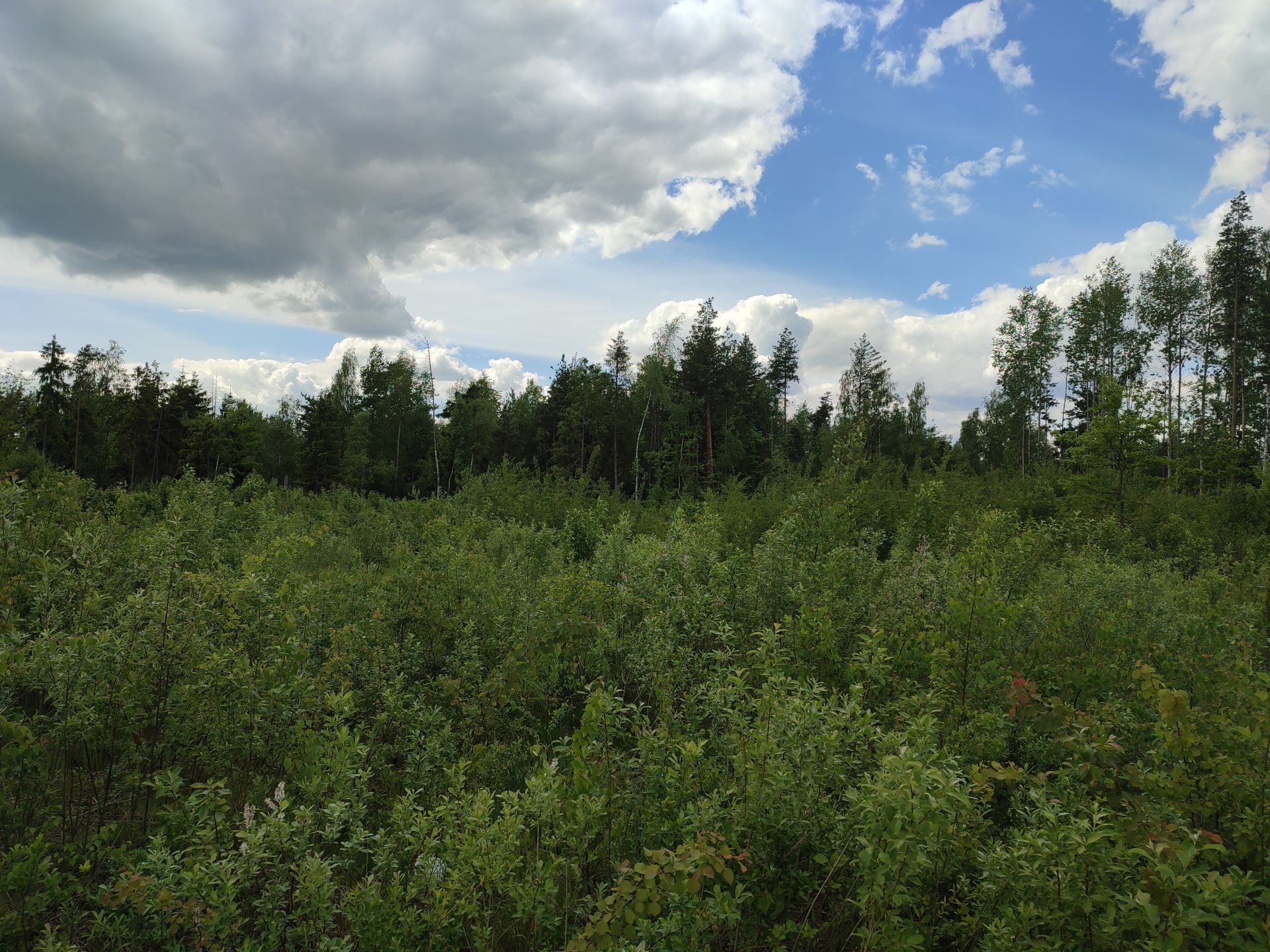 Земли поселения Московская область, Богородский городской округ, Электроугли, коттеджный посёлок Традиции