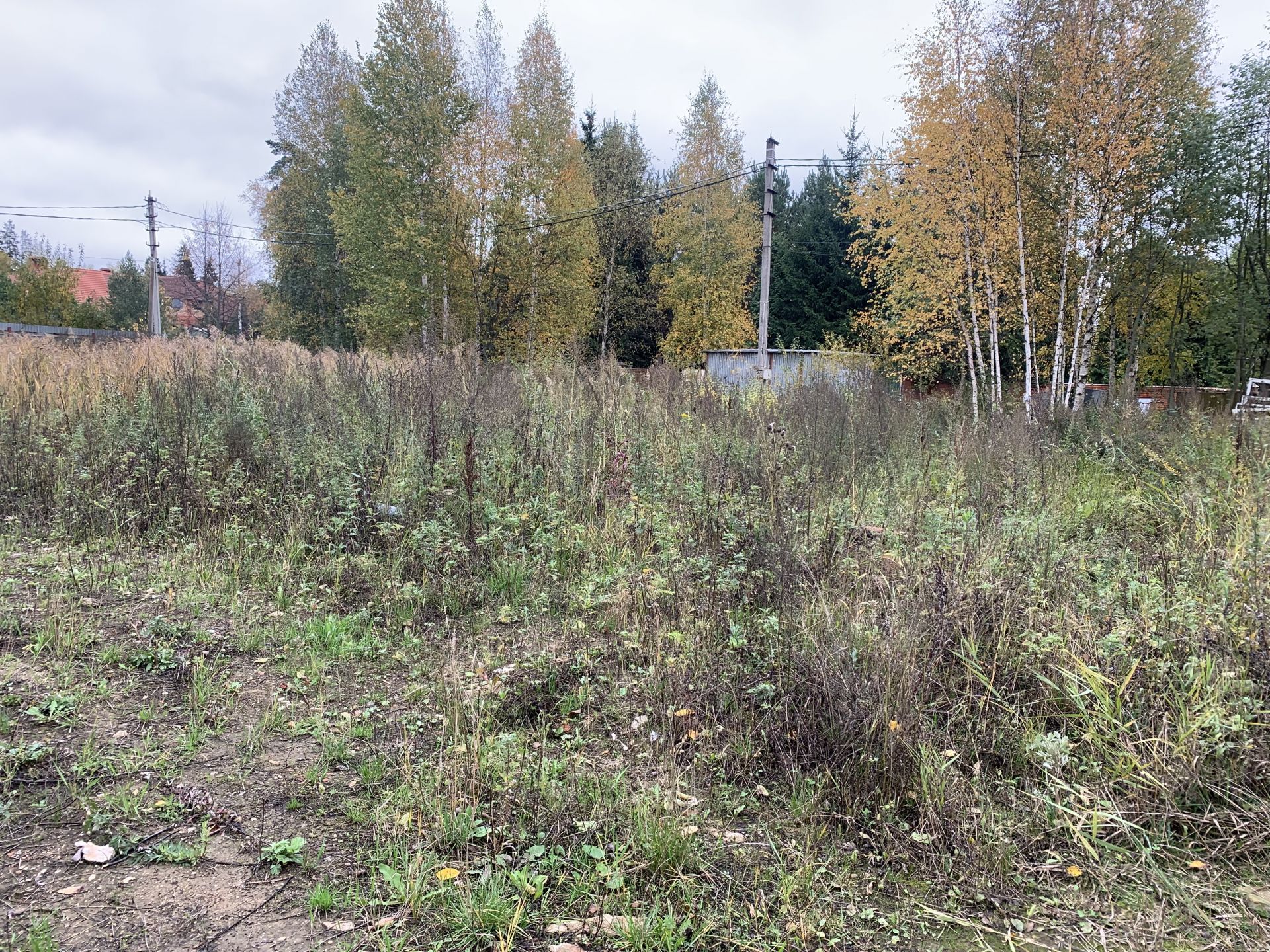 Земли поселения Московская область, Одинцовский городской округ, деревня Сивково, садовое товарищество Утро, 25