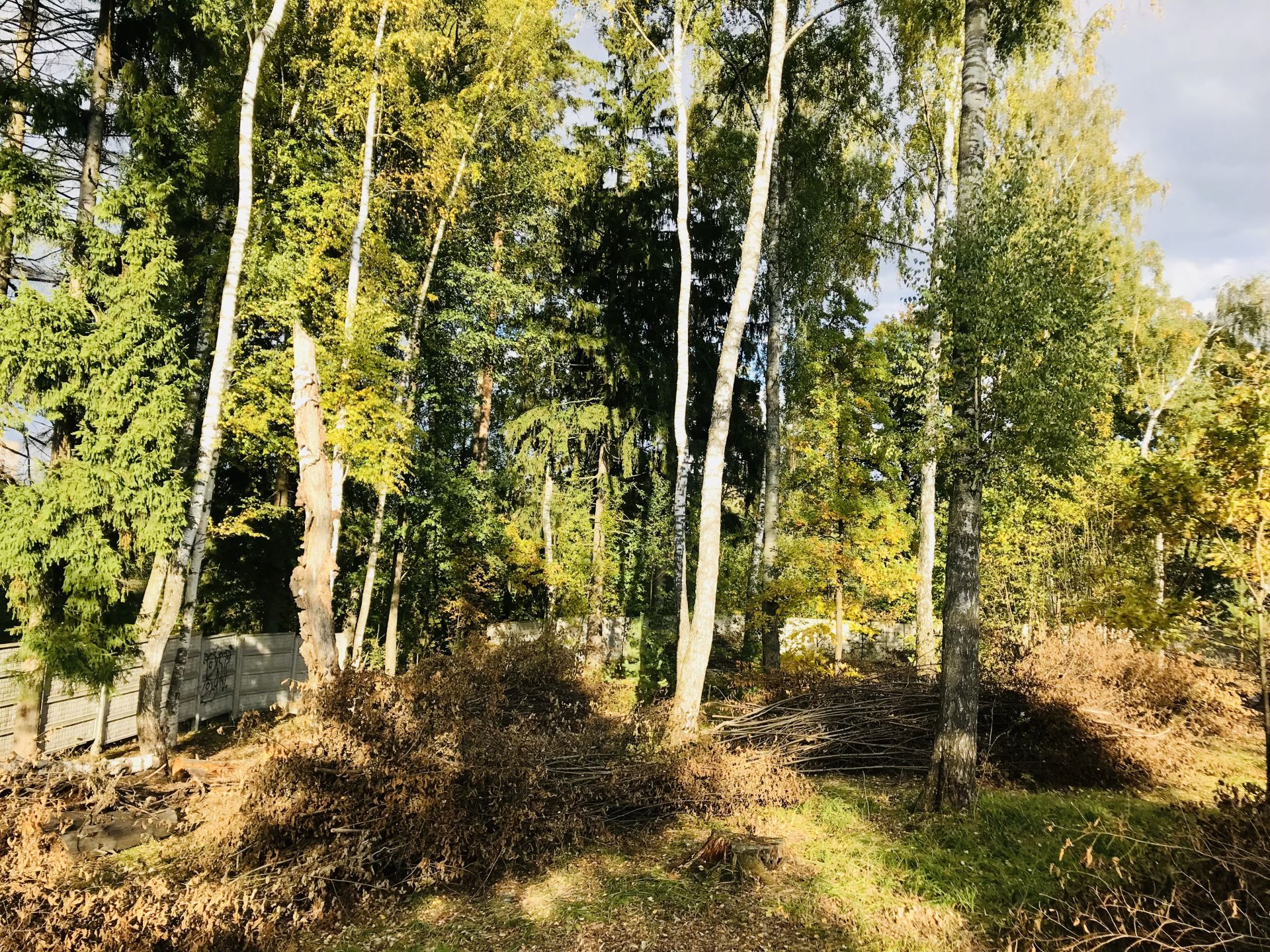 Земли поселения Московская область, городской округ Лосино-Петровский, рабочий посёлок Свердловский, ПК ЗИЖ Гвардейский