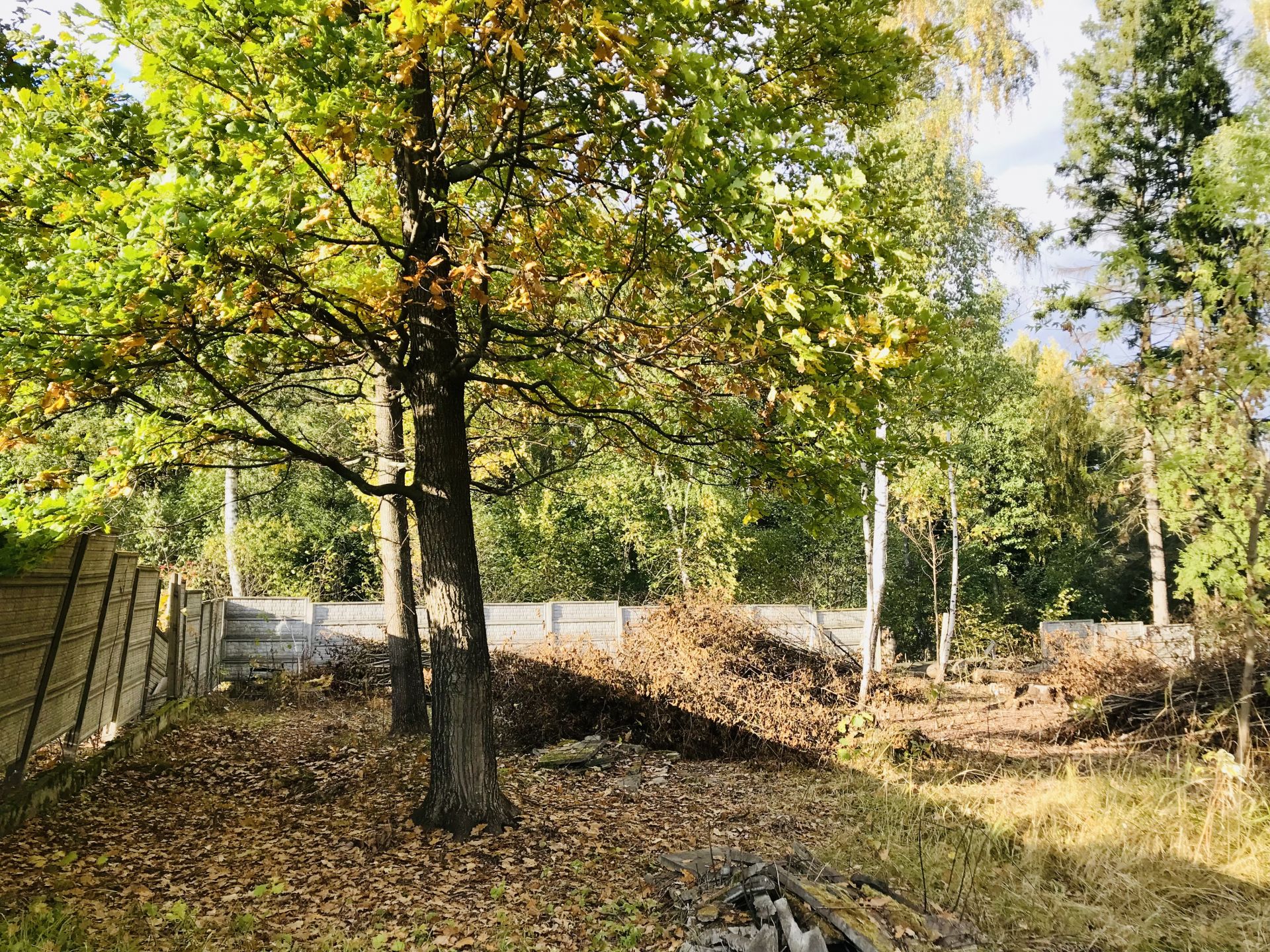 Земли поселения Московская область, городской округ Лосино-Петровский, рабочий посёлок Свердловский, ПК ЗИЖ Гвардейский