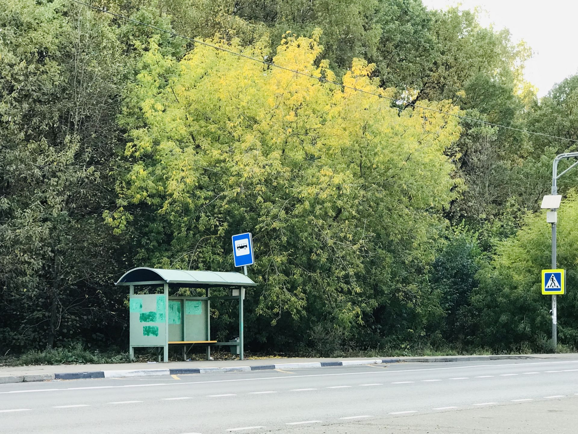 Земли поселения Московская область, городской округ Лосино-Петровский, рабочий посёлок Свердловский, ПК ЗИЖ Гвардейский