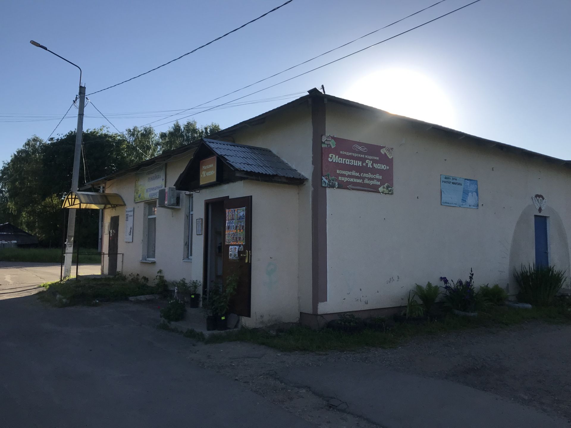 Земли поселения Московская область, Богородский городской округ, село Мамонтово, Лесная улица