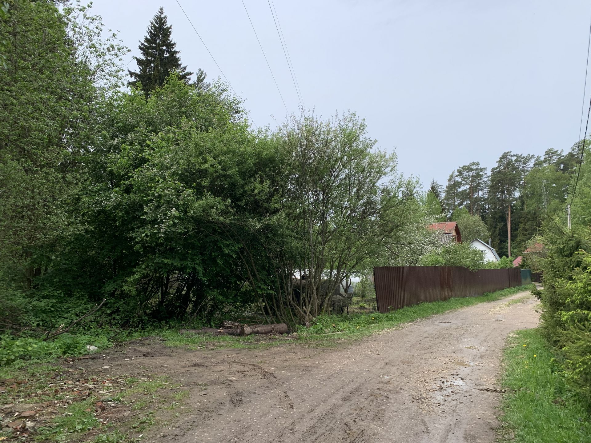 Земли сельхозназначения Московская область, Одинцовский городской округ, садоводческое некоммерческое товарищество Хвойный Лес