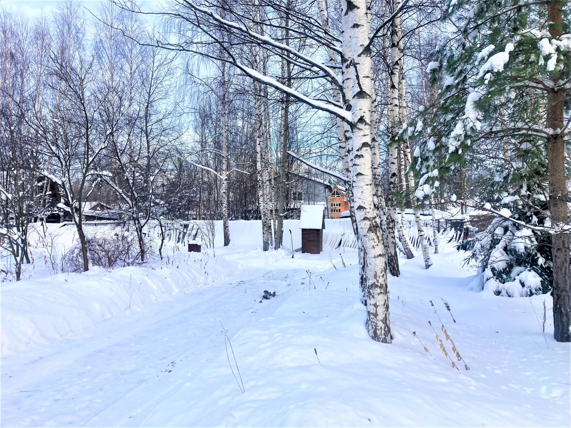 Земли сельхозназначения Московская область, городской округ Щёлково,  территория СНТ Восход-2 – агентство недвижимости «Азбука недвижимости»  Москва и МО