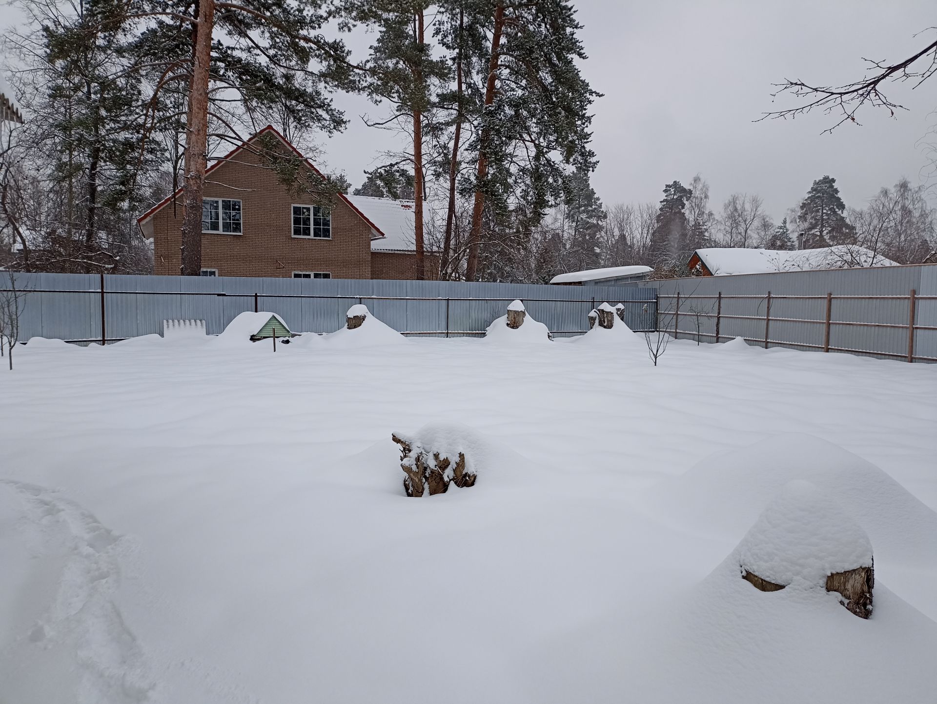 Земли поселения Московская область, городской округ Щёлково, дачный посёлок  Загорянский, улица Пушкина – агентство недвижимости «Азбука недвижимости»  Москва и МО