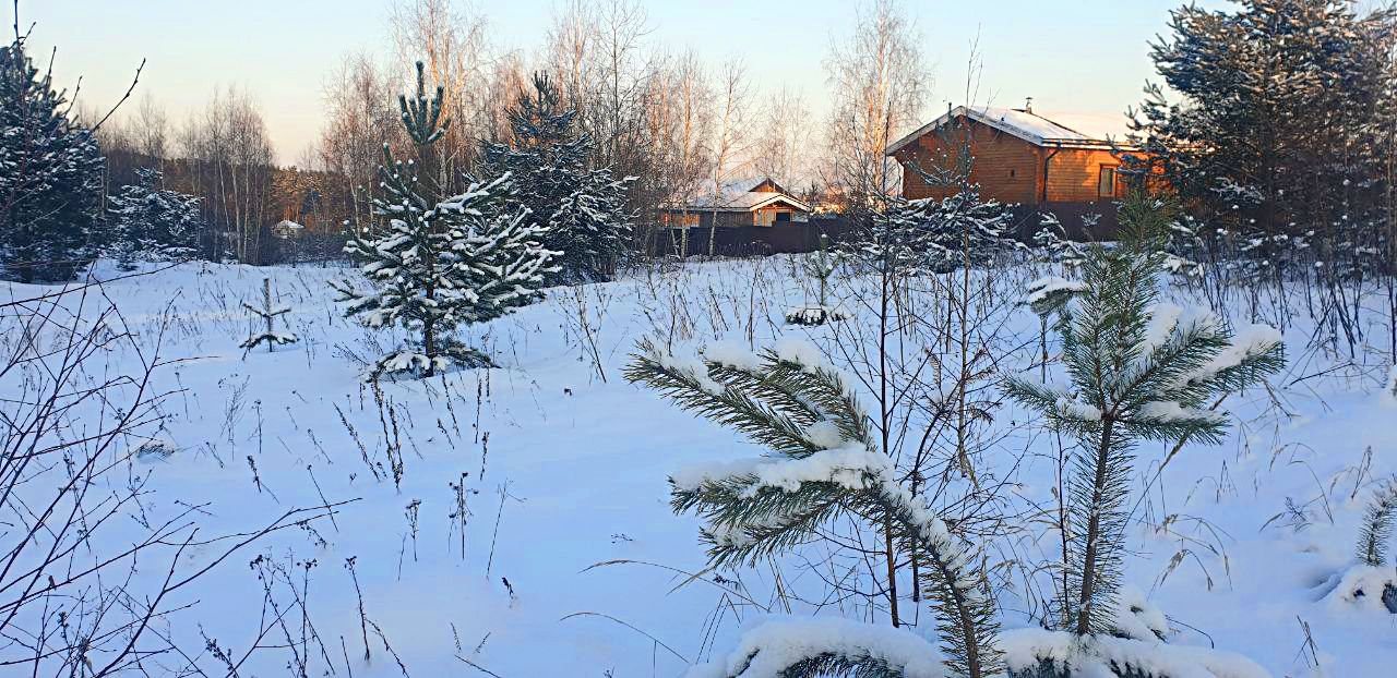 Земли поселения Московская область, Одинцовский городской округ, село Луцино