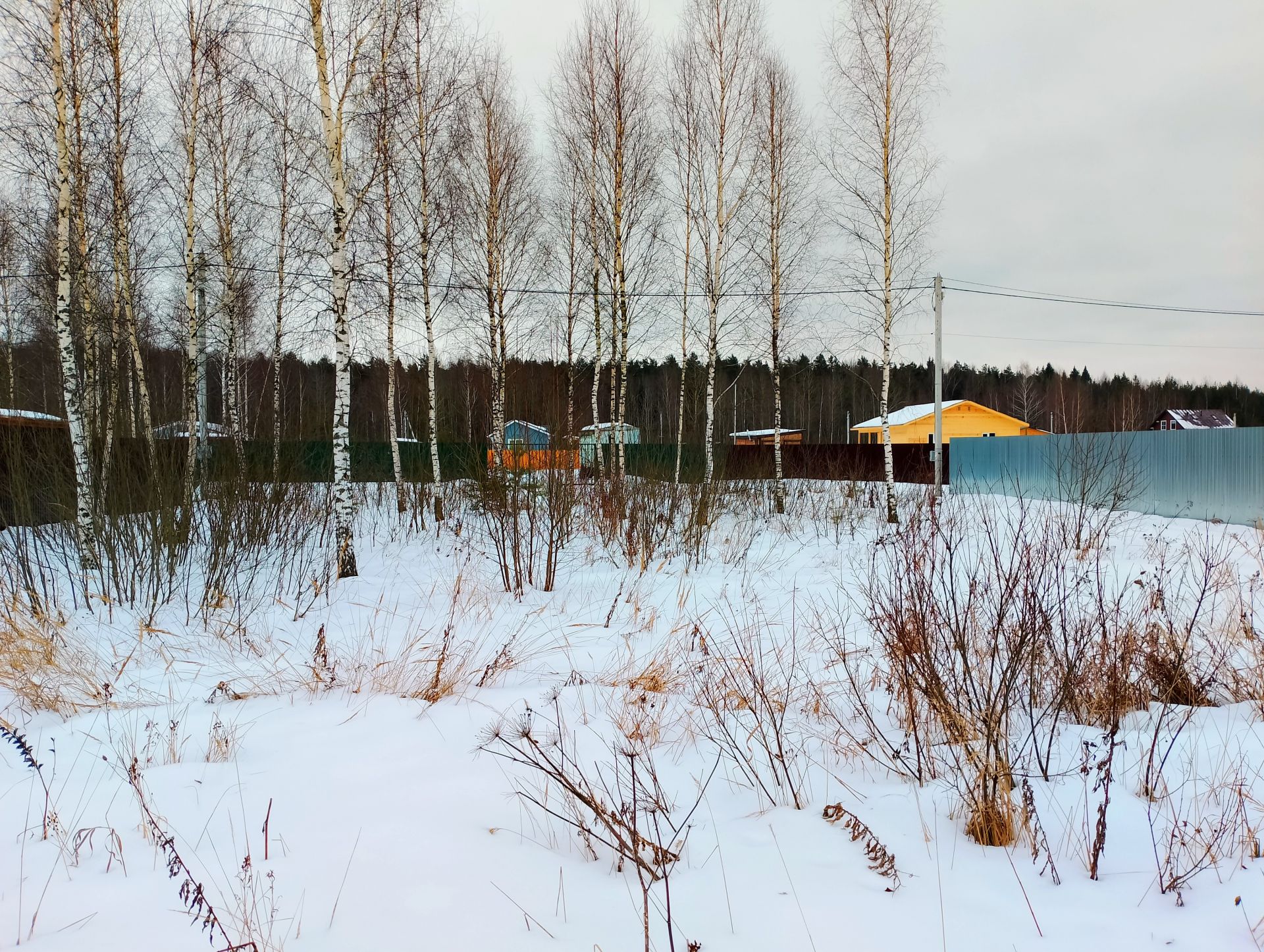 Земли поселения Московская область, Богородский городской округ, село  Стромынь, Берёзовая улица – агентство недвижимости «Азбука недвижимости»  Москва и МО